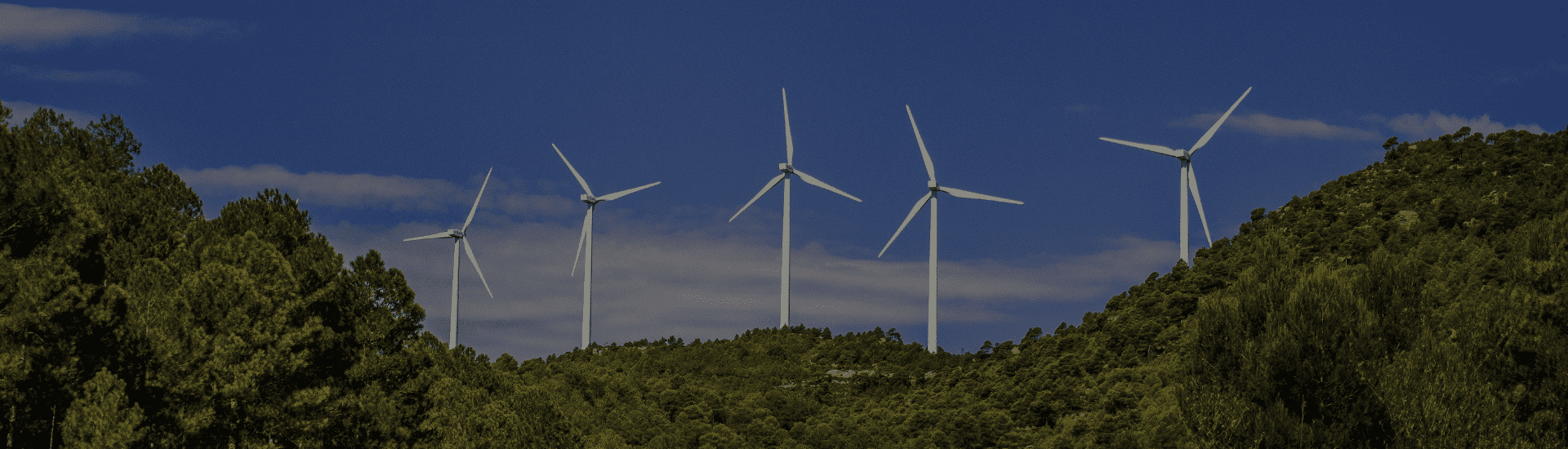 Renewable Energy