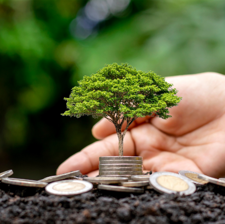 Delivering Exceptional Value: Cost-Effective Solutions for a Sustainable Future